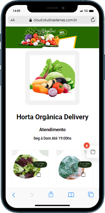 Ponto de Vendas PDV: O sistema ideal para gerenciar suas vendas 3 Ponto de Vendas Catalogo Vendas Mobile min