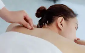 Programa para Salão de Beleza 5 Sistema de Agendamento para Clínicas de Acupuntura - Studio Adamas
